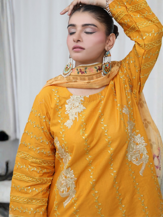 RB Pret & Couture Cotton Embroidered Stitched 3-Piece Suit-08