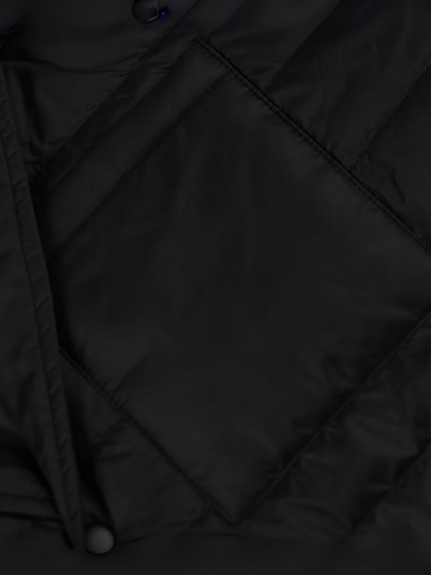 Untitled design (31)