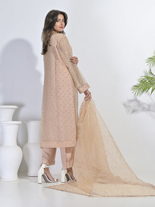 Ruby's Couture Festive Fall'25 Organza Embellished Stitched 3-Piece Suit-Falisha