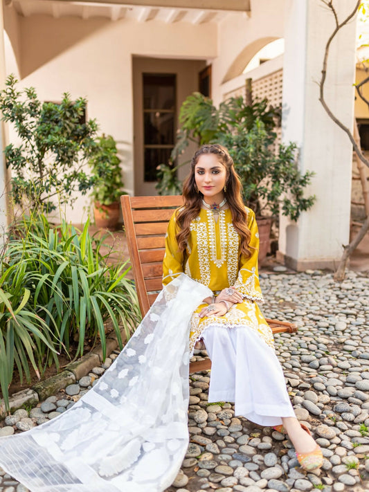 Panache Apparel Cotton Embroidered Stitched 2-Piece Suit-Astrella