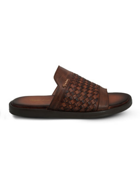 Untitled design (87)