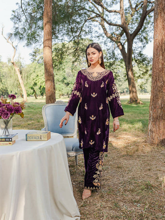 Panache Apparel Winter Edit Micro Velvet 9000 Embroidered Stitched 2-Piece Suit-Mehmal