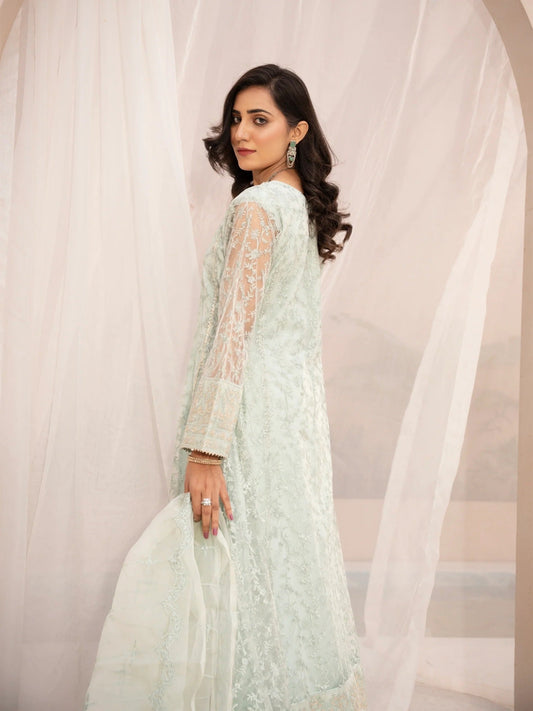 Green Manahil Arts Net Embellished Stitched 3-Piece Suit-N1-Tea Green