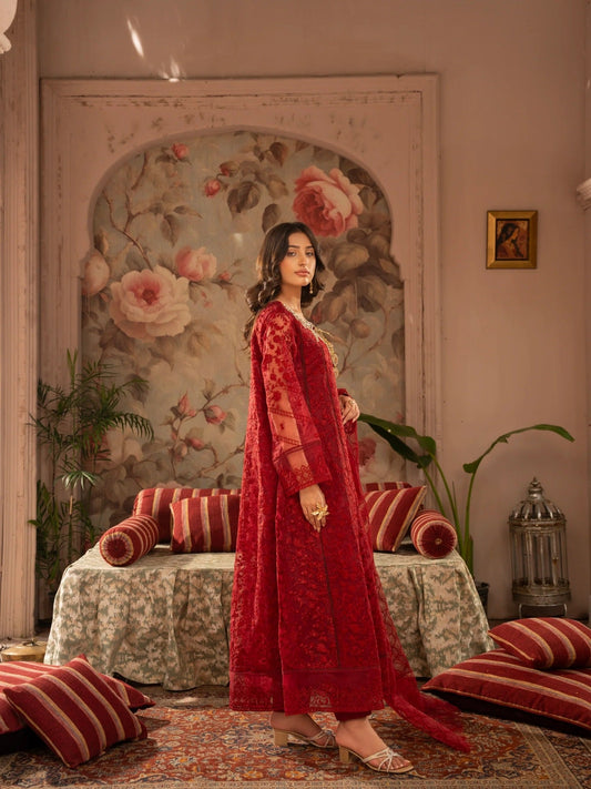 Maroon Manahil Arts Organza Embellished Maxi-K-171-Maroon