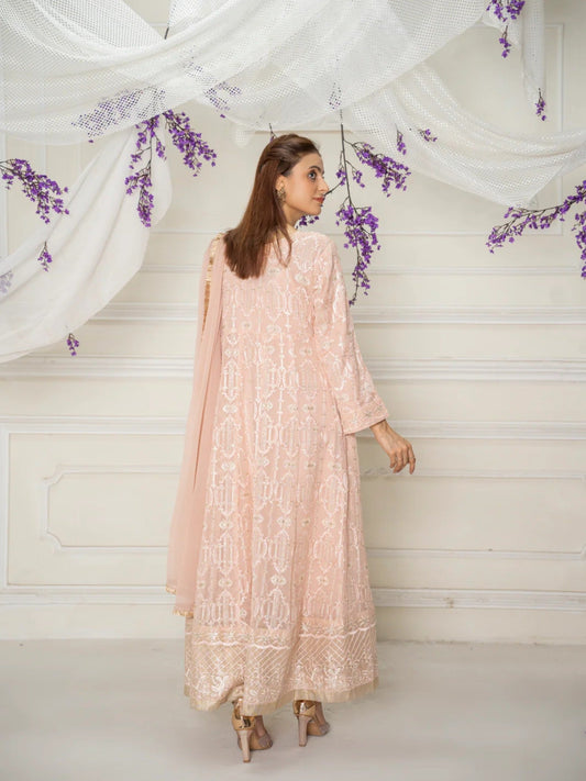 Peach Manahil Arts Chiffon Embellished Maxi-ND-6-Peach