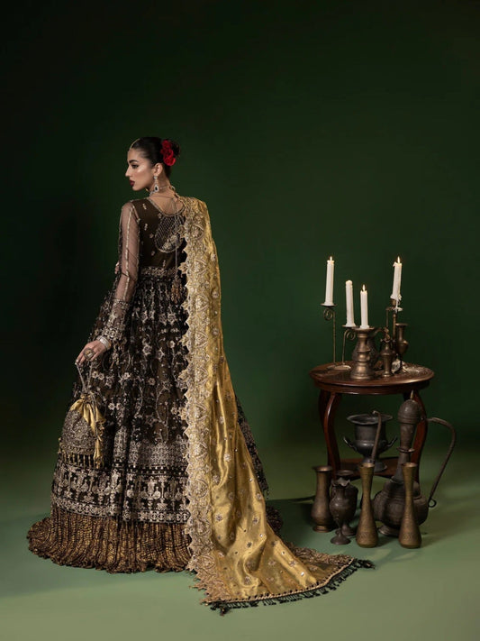 Black Sara Jahan Net Embellished Maxi-Mahru