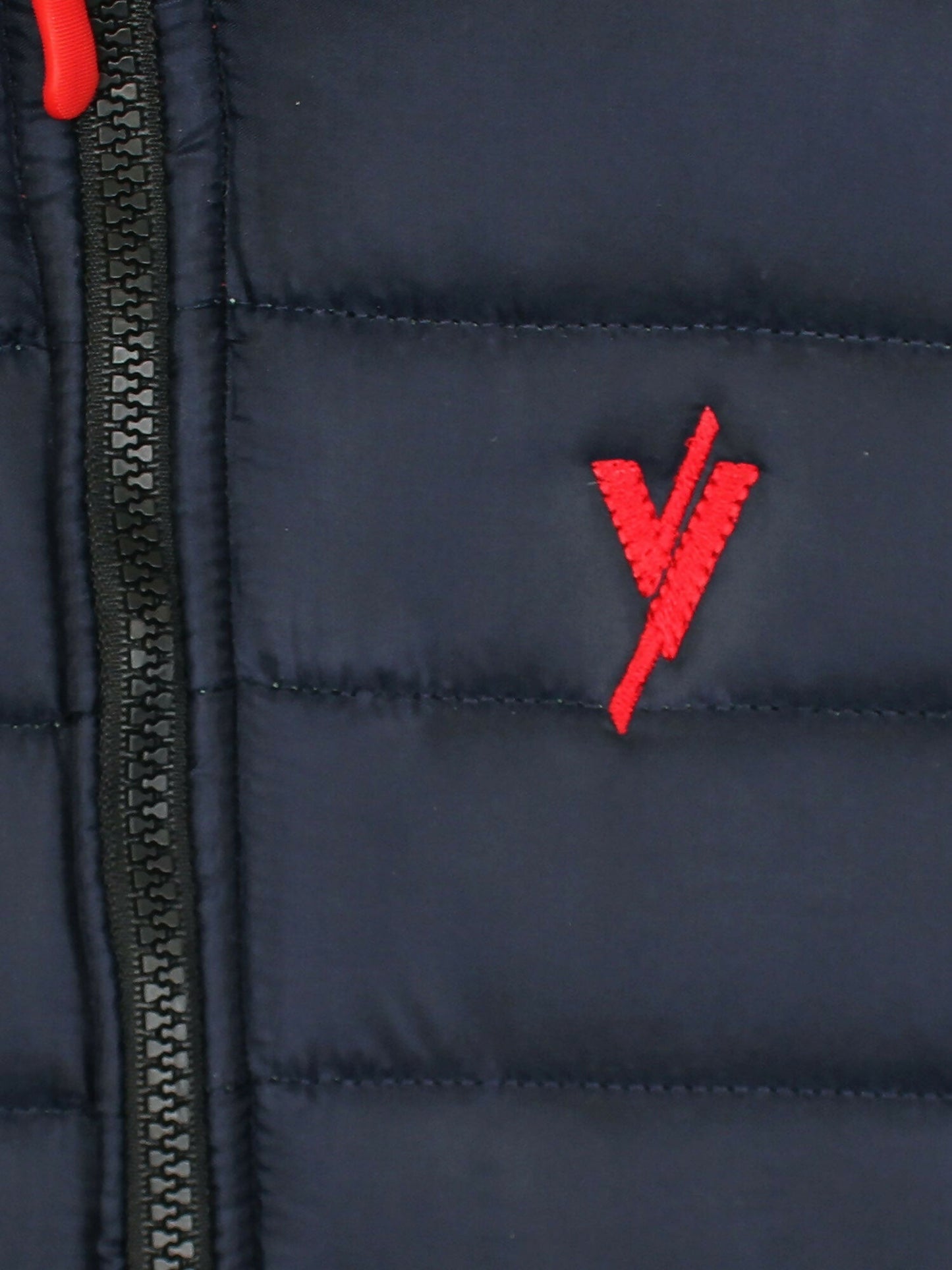 msyXho2ZDe