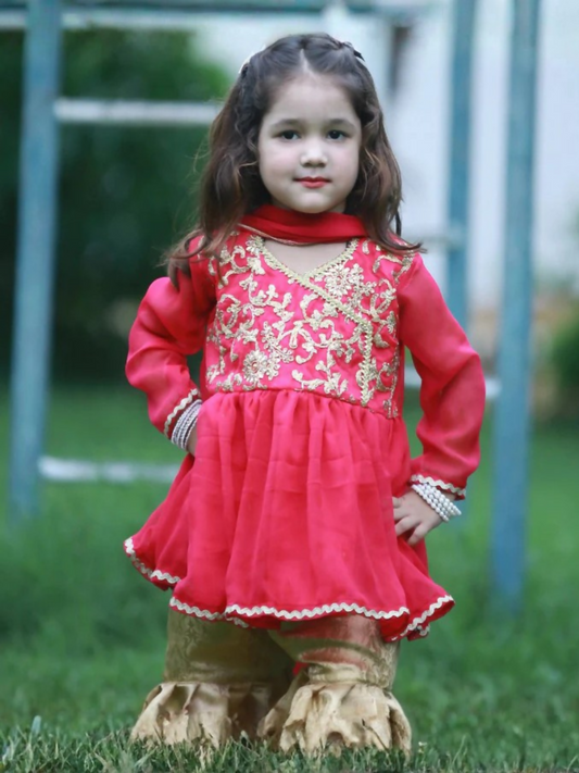 Kidoz Kloset Chiffon Embroidered Gharara-Gulabo