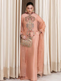 Hussain Rehar Moon In The Golden Cup Raw Silk Embellished Stitched 2-Piece Suit-Trinket