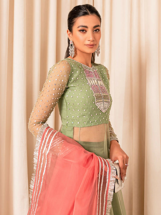 Allure By IH Luxe Formals Organza Embellished Lehenga-Molly