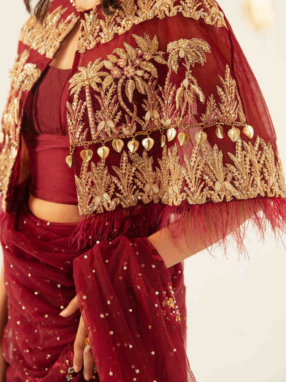 Shiza Hassan Aurora Formals Net Embellished Saree-Magma