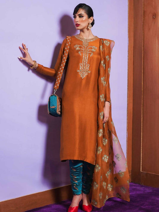Brown Hussain Rehar BASIC NOT BASIC IV Raw Silk Embroidered Stitched 3-Piece Suit-Gilt