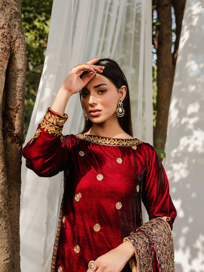 Panache Apparel Velvet Edit Micro Velvet 9000 Embroidered Stitched 2-Piece-Surkh