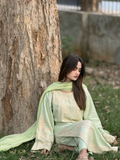 Tawakal Closet Linen Embroidered Stitched 3-Piece Suit-Pistachio