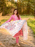 Panache Apparel Daily Essentials RTW Linen Embroidered Stitched Suit-Haven Nyla Raja
