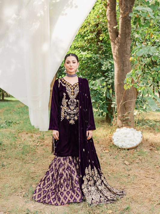 Panache Apparel Velvet Edit Micro Velvet 9000 Embroidered Stitched Suit-Moor