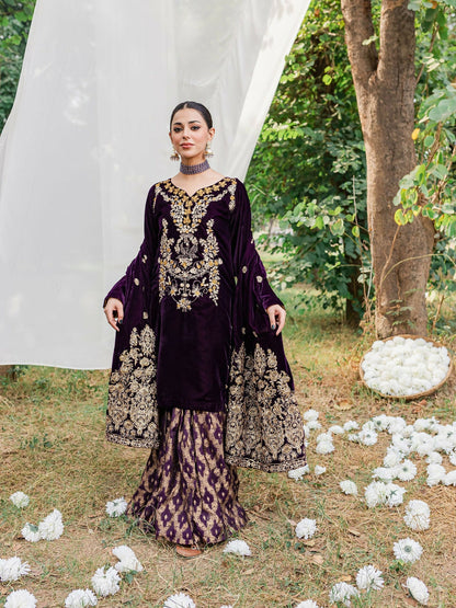 Panache Apparel Velvet Edit Micro Velvet 9000 Embroidered Stitched Suit-Moor