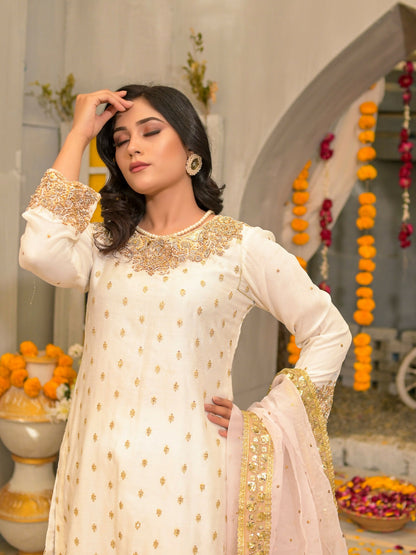 Ruby's Couture Poshak Cotton Net Embellished Gharara-Jugni