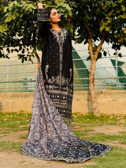 Siraphina Winter Cotton Embroidered Stitched 3-Piece Suit