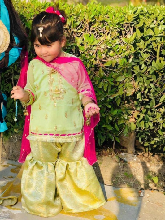 Kidoz Kloset Chiffon Embroidered Gharara-Minty Green-Embroidered Gharara Set