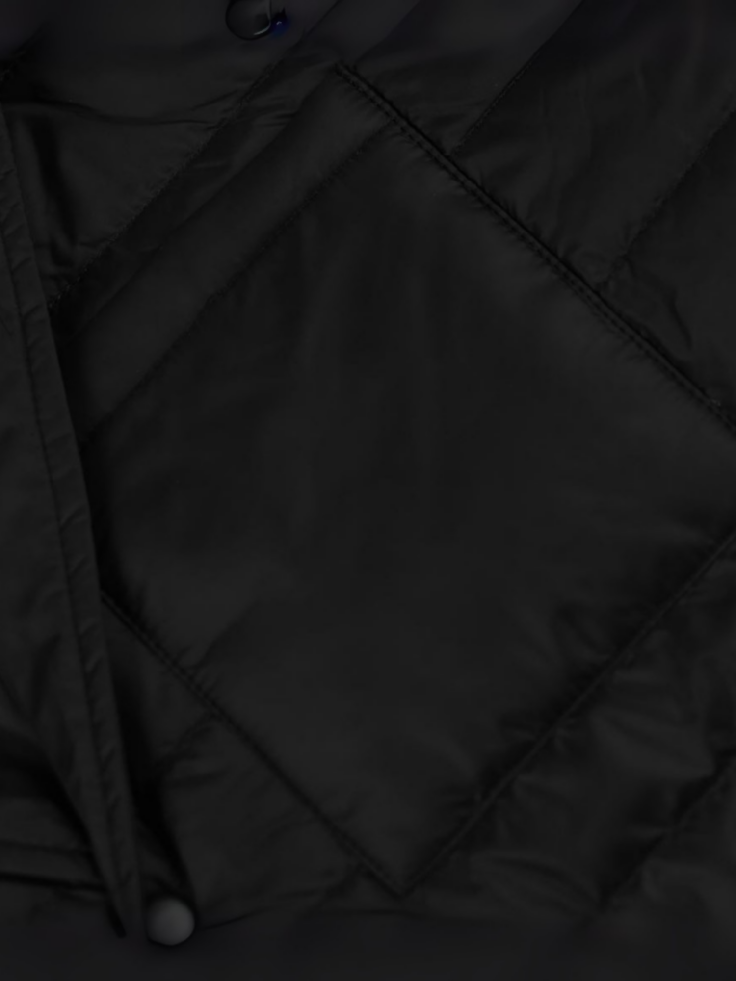 Untitled design (31)