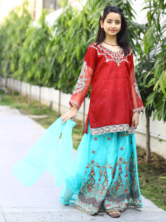Red and Blue-Lumira Organza Embroidered Lehenga-Amber