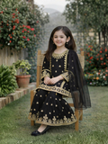 Black-Lumira Chiffon Embroidered Gharara-Elan