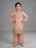 Pink Lumira Chiffon Embroidered Gharara-Savera Pink