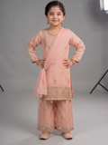 Pink Lumira Chiffon Embroidered Gharara-Savera Pink