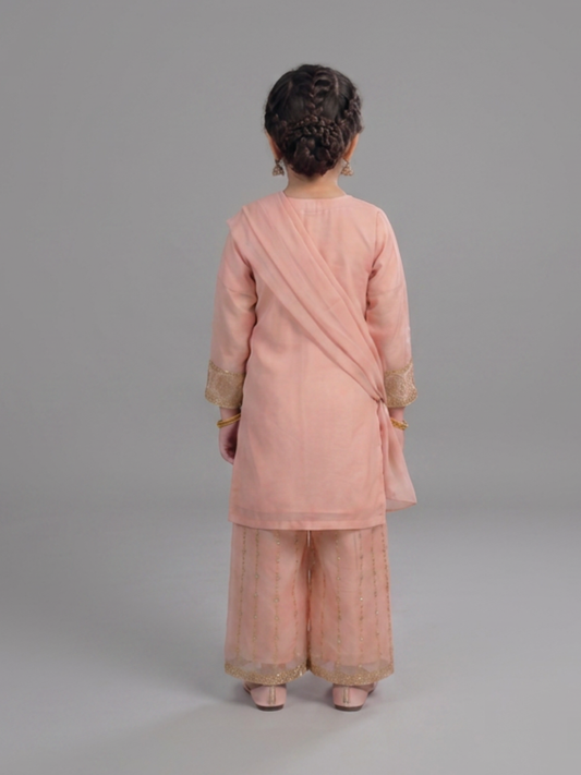Pink Lumira Chiffon Embroidered Gharara-Savera Pink
