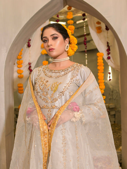 Ruby's Couture Poshak Plain Tissue Embellished Stitched 3-Piece Suit-Deewani