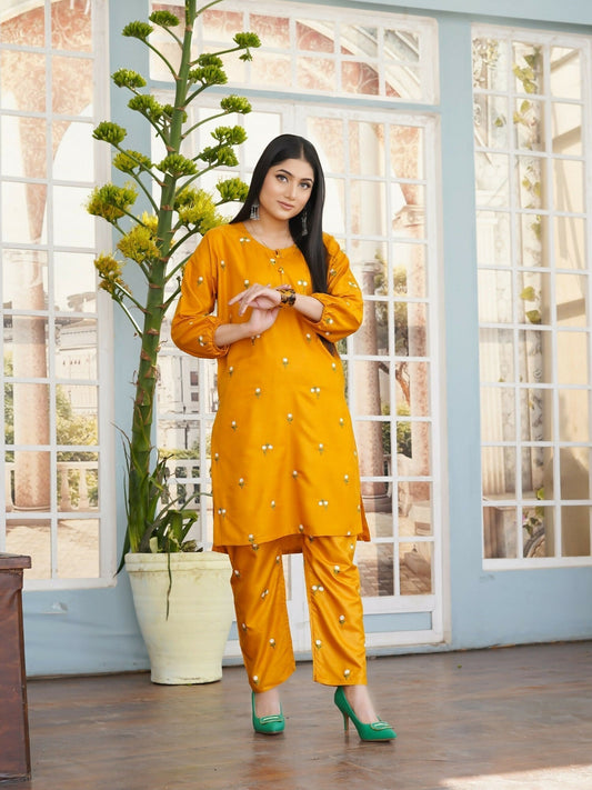 Stylish Collection Aaraish Linen Embroidered Co-Ord Set-Petal
