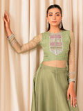 Allure By IH Luxe Formals Organza Embellished Lehenga-Molly