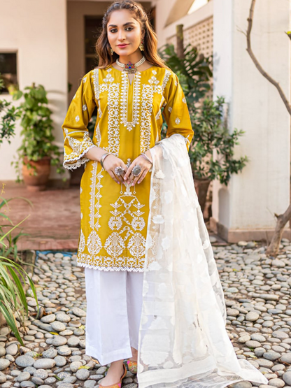 Panache Apparel Cotton Embroidered Stitched 2-Piece Suit-Astrella