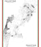 MappedPK Palestine + Pakistan Dual Country A3 Map