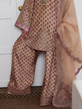Hussain Rehar Pret SS'25 Raw Silk Embroidered Stitched 3-Piece Suit-Fran