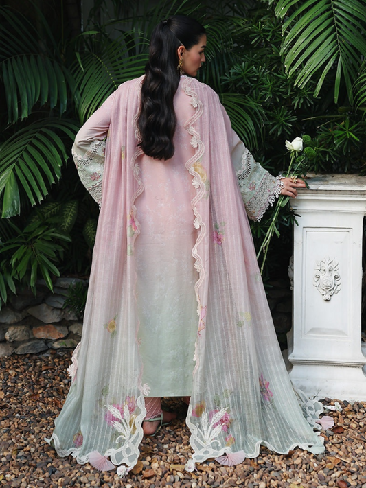Qalamkar Qline Lawn Drop-1 Embroidered Unstitched 3-Piece Suit-RP-04-Vanya