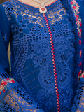 Binilyas Freesia Luxury Lawn Embroidered Unstitched 3-Piece Suit-106 - B