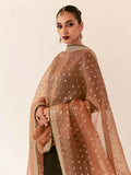 Hussain Rehar Chamak Damak Raw Silk Embellished Stitched 3-Piece Suit-Del