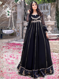 Hani & Umaima Chiffon Embroidered Pishwas-Raniya