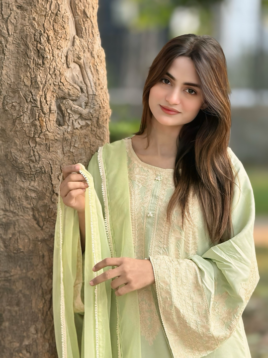 Tawakal Closet Linen Embroidered Stitched 3-Piece Suit-Pistachio