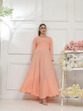 Ruby's Couture Basic Element '25 Georgette Embellished Dress Set-Cinnabar