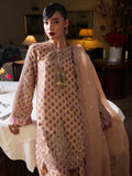 Hussain Rehar Pret SS'25 Raw Silk Embroidered Stitched 3-Piece Suit-Fran