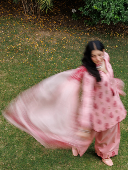 Panache Apparel Noor Mahal Cotton Printed Stitched Suit-Nayelra