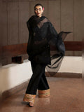 Hussain Rehar Luxury Pret Eid'24 Raw Silk Embellished Stitched 3-Piece Suit-Char