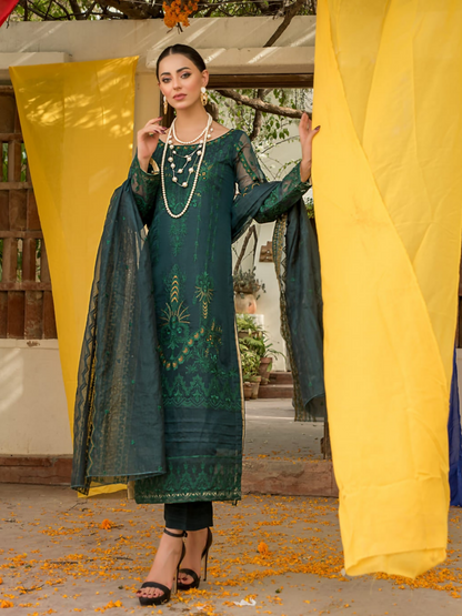 Panache Apparel Organza Net Embroidered Stitched 2-Piece Suit-Maya