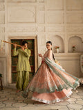 Parishay Ranibagh Luxury Formals Organza Embroidered Stitched 3-Piece Suit-Roshanara