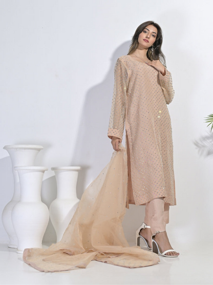 Ruby's Couture Festive Fall'25 Organza Embellished Stitched 3-Piece Suit-Falisha