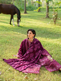 Parishay Panache Winter Corduroy Embroidered Stitched 3-Piece Suit-PNE-04