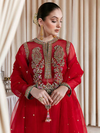 Hussain Rehar Moon In The Golden Cup Organza Embellished Stitched 3 Piece Suit Sevgi